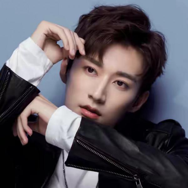 18位山東籍男星，個個濃眉大眼，英氣逼人，靳東、柳雲龍榜上有名