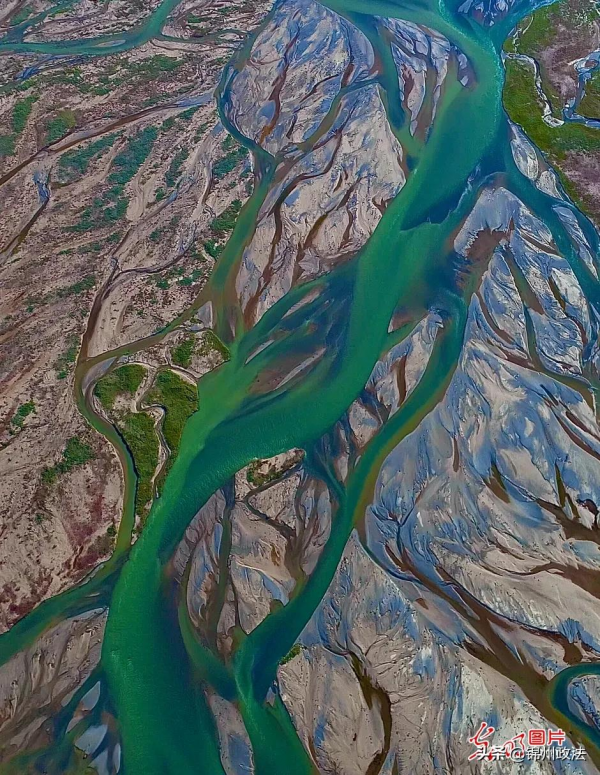 “去三江源國家公園見到野生動物的機率是100%”,他為何能自信承諾? “去三江源國家公園見到野生動物的機率是100%”,他為何能自信承諾?