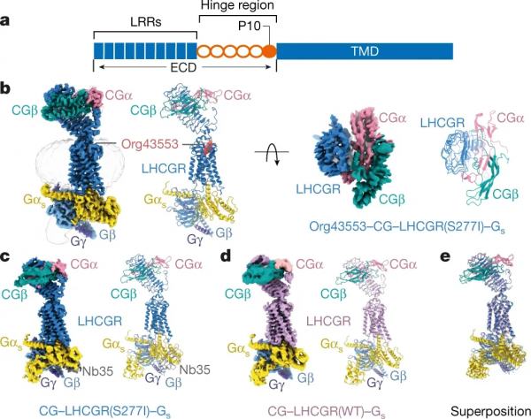 1天齊發5篇Nature,我國高校,牛 1天齊發5篇Nature,我國高校,牛