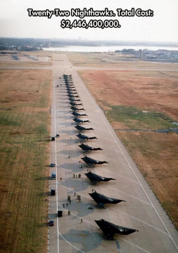 1891歲大樹的年輪，大象推翻汽車，喜鵲騎著白頭鷹，鬣狗飼養員