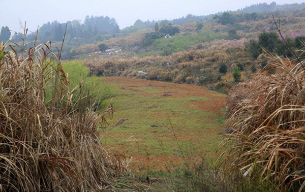 農村個人開墾的荒地，歸個人還是歸村集體所有？應該怎麼處理？
