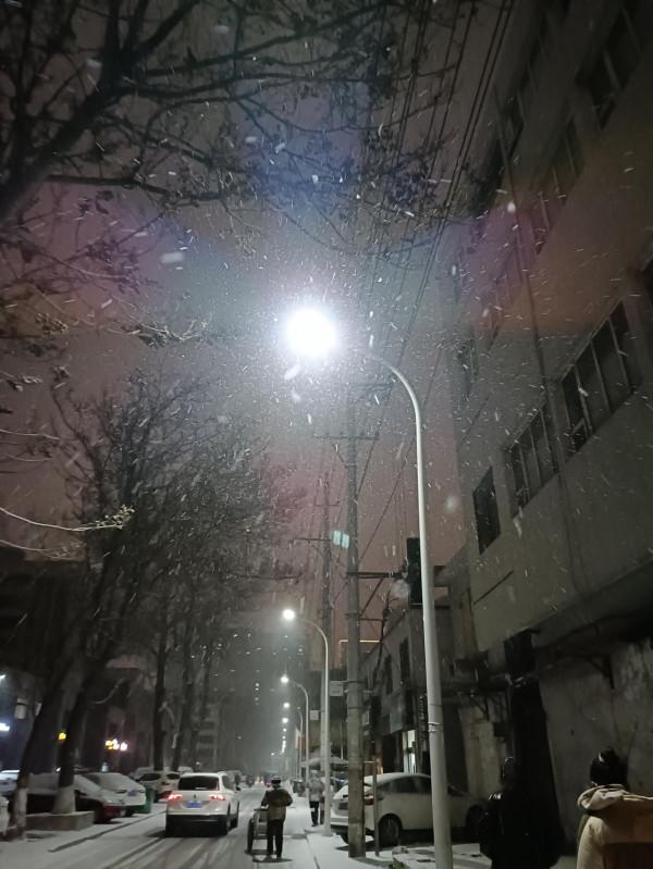 OPPO Reno6 標準版拍照樣張