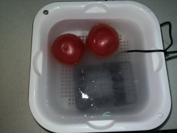 小尼熊淨化消毒機評測：科技守護我們的健康