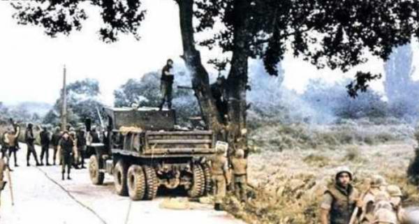 1976年朝韓邊境的一棵樹，險些引發二次朝戰，2名美軍當場被打死