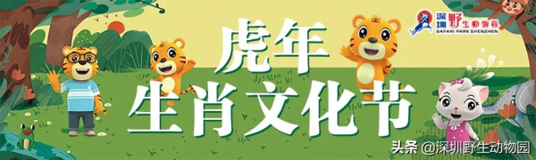 噓！大年初三睡到飽