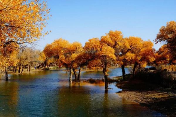 沙漠世界地質公園風光