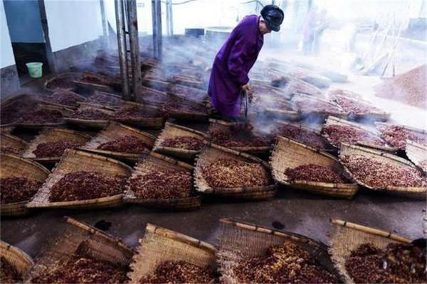 真全糧酒之自釀酒時的有哪些注意事項？