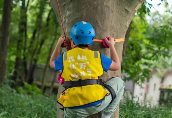 在東湖過元旦，好多新板眼！