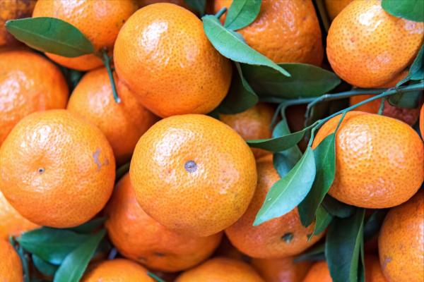 懂行人買橘子，不看個頭大小，只看這4點，個個皮薄肉厚又多汁