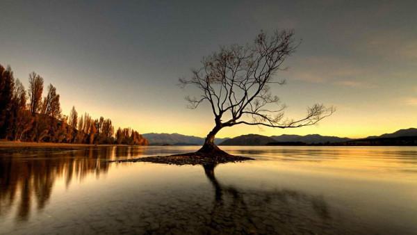 決定人生的十大決定 決定人生的十大決定