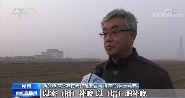 農資保供：綜合施策確保農資供得上、不斷檔