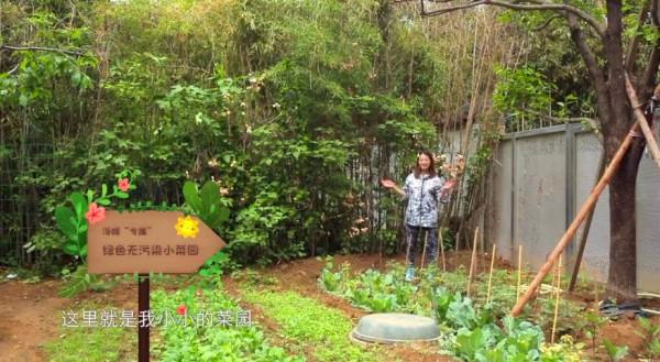 港星定居內地，在北京的富足，上海的熱衷綜藝，廣東的直播賣貨