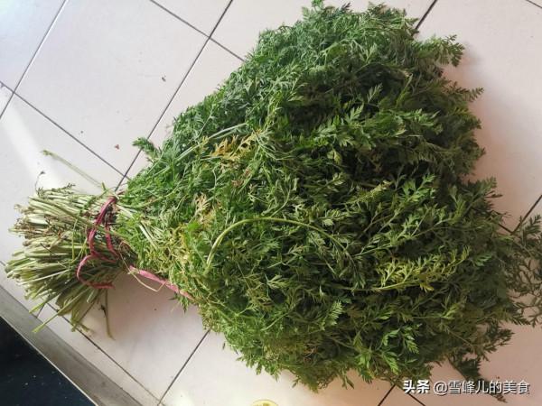 胡蘿蔔葉很多人扔掉了！這樣蒸一蒸就上桌，蘸料吃真香，別不懂