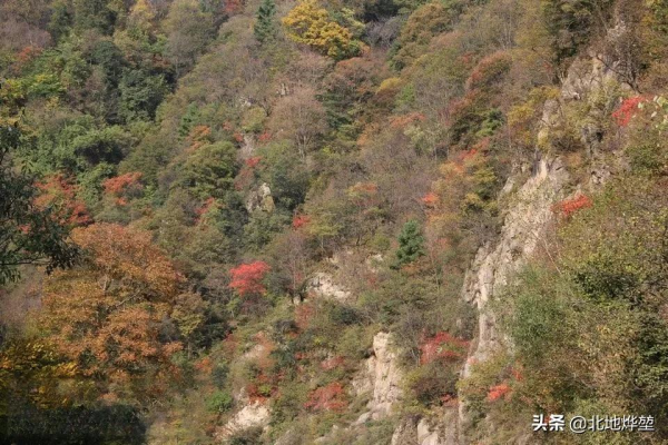 分享一組關山牧場的原生態秋景 分享一組關山牧場的原生態秋景