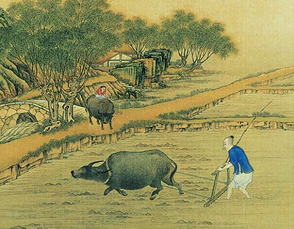 俗語說&OpenCurlyDoubleQuote;家有三樣，不富也旺&rdquo;，有一樣都是好事，到底是哪3樣？