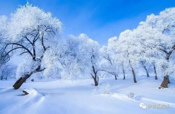 我想和你去旅行