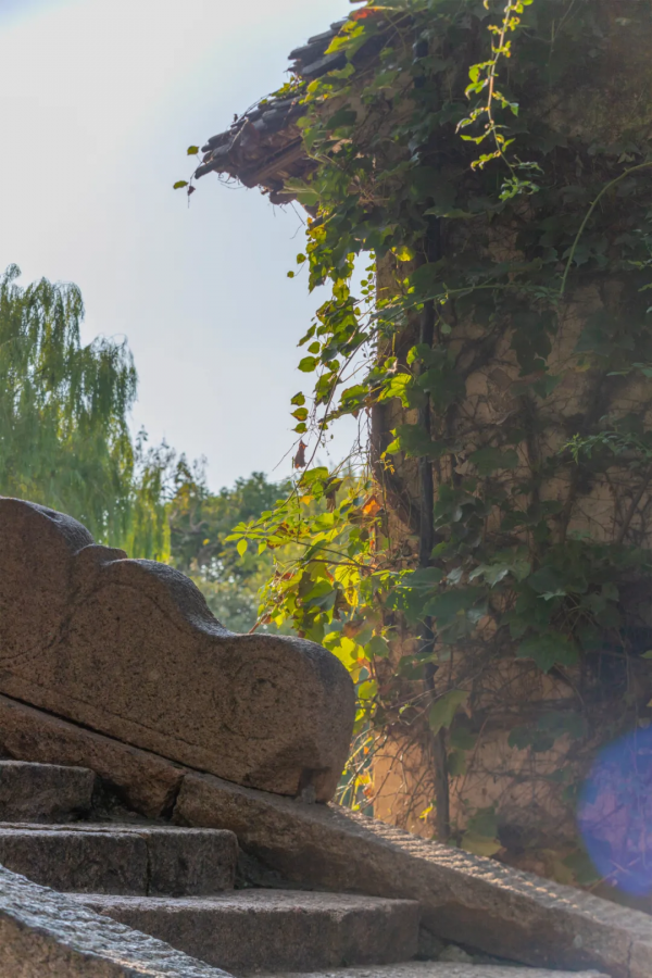 一葉知秋,烏鎮秋天的第一波美圖,誰看誰心動 | 烏鎮•美圖 一葉知秋,烏鎮秋天的第一波美圖,誰看誰心動 | 烏鎮•美圖