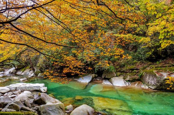 黑熊溝——四川光霧山