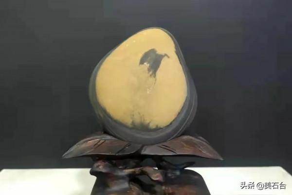 精選17方長江石，用你的眼力挑選出前三甲，來，看看誰有火眼金睛