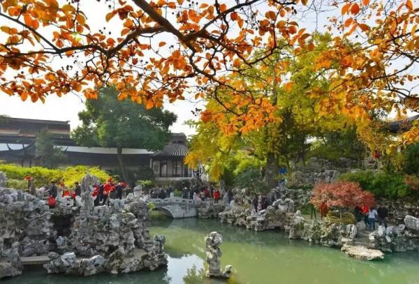 千萬別與秋天的姑蘇比美!楓葉漫山,銀杏紛飛,一步一景美成了詩 千萬別與秋天的姑蘇比美!楓葉漫山,銀杏紛飛,一步一景美成了詩