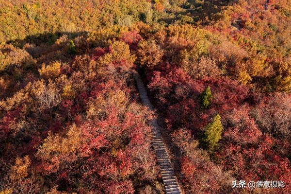 鄭州環翠峪,霜葉紅於二月花 鄭州環翠峪,霜葉紅於二月花