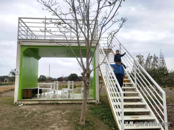 上海花開海上深秋的賞楓之行,醉美楓葉皆秋意,霜葉紅於二月花 上海花開海上深秋的賞楓之行,醉美楓葉皆秋意,霜葉紅於二月花