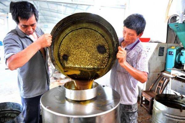 最不健康的油是什麼油？大豆油嗎？醫生提醒：這兩種油平時要少吃