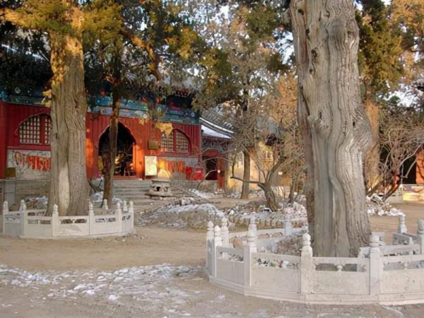 北京一“低調”古剎,寺內有遼代千年銀杏,門票20公交直達 北京一“低調”古剎,寺內有遼代千年銀杏,門票20公交直達