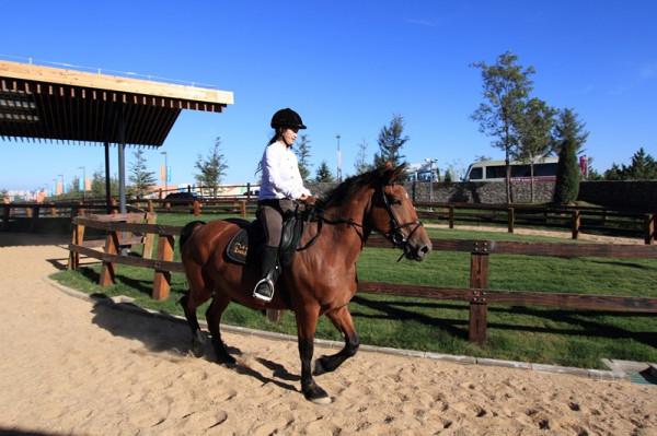 “綠島”生活:做一回新時代的田園農夫 “綠島”生活:做一回新時代的田園農夫