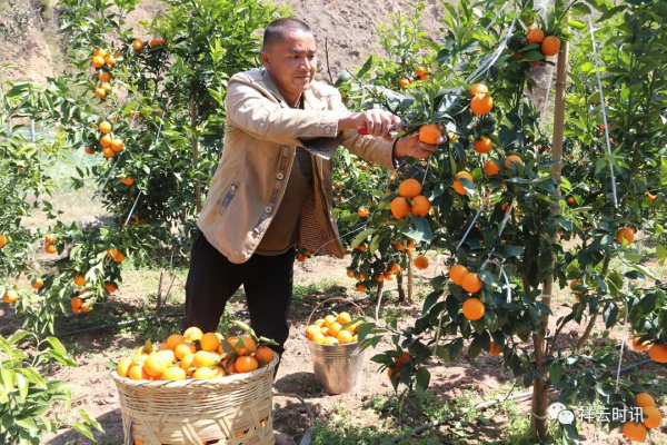 「民族團結進步」鹿鳴鄉：奮鬥正當時，幸福猶可期