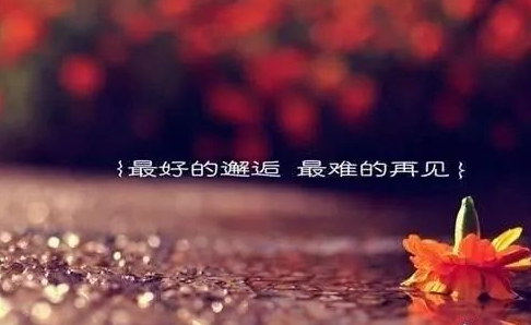 別讓遺憾帶來後悔，給自己一個交代，剩下的交給天意吧