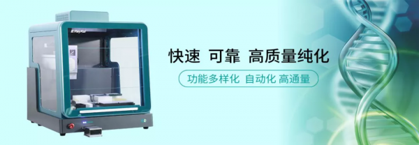 精益求精!睿科全自動液體處理平臺助力自動化核酸質譜檢測 精益求精!睿科全自動液體處理平臺助力自動化核酸質譜檢測