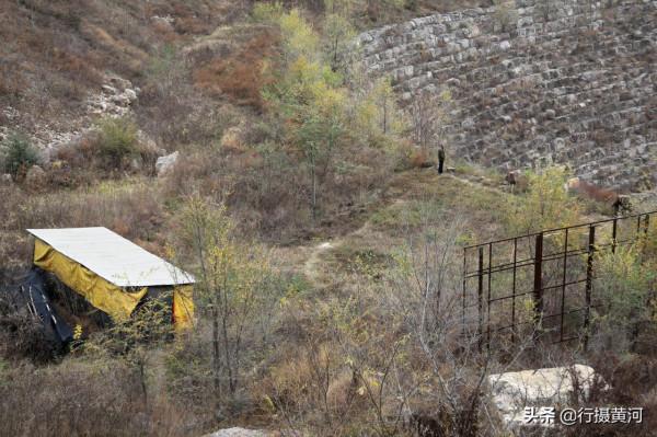 山西大山發現巴基斯坦國鳥，6旬“鳥叔”守護6年，看鳥兒活成啥樣
