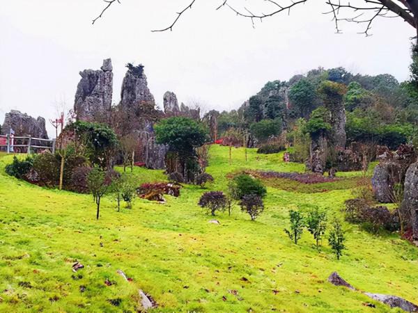 四川一景區走紅,被稱為“天然氧吧”,距重慶1小時車程 四川一景區走紅,被稱為“天然氧吧”,距重慶1小時車程