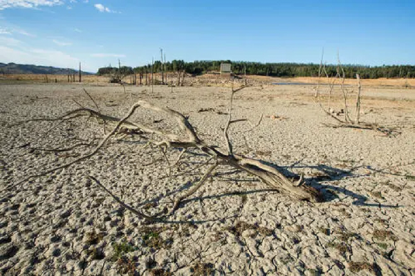 中國紅生命藍：我國維和部隊幫忙非洲人打水井，終於不用喝泥巴水