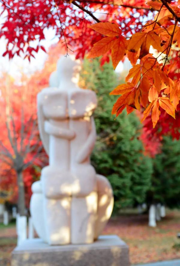 重陽節帶父母看城中最美紅葉林