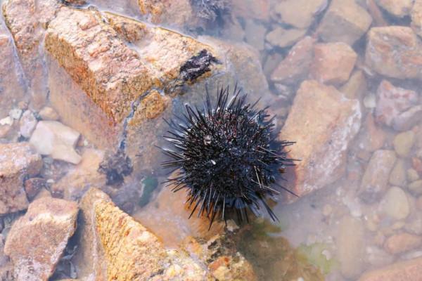 比海南涼爽，比廈門安靜！威海旅行發現一條海濱自駕公路，太美了