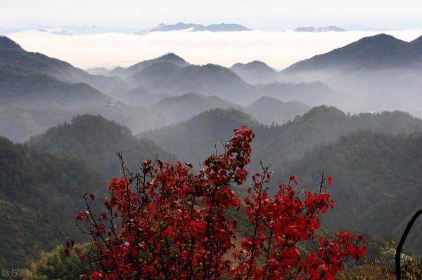 臨卦六五爻辭釋義 臨卦六五爻辭釋義