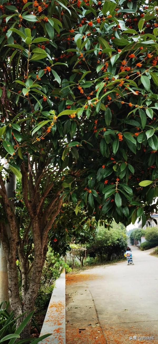 飛天山徒步，竟誤入桃源深處