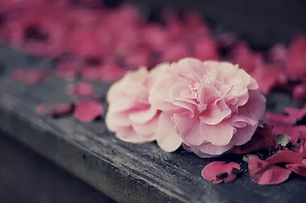 善待慢慢老去的自己 善待慢慢老去的自己