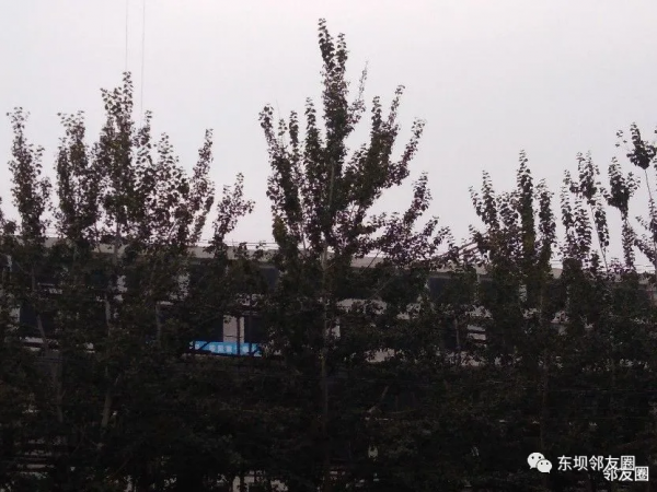 東壩安貞東方醫院各樓均已封頂 東壩安貞東方醫院各樓均已封頂