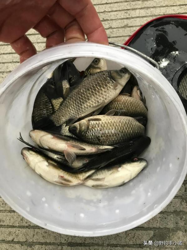 一條河別人連竿你掐腰，別再傻等魚咬鉤，給你四點建議，魚不難釣
