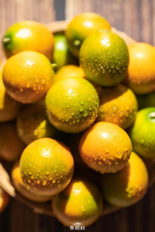 冬天的胃太難伺候！吃什麼才能安撫它呢？資深吃貨拎出了這個清單