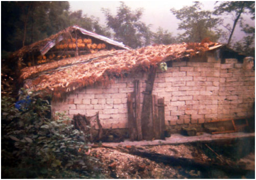 16年前背母上學的男孩,29歲時從男孩變成女孩,後來怎麼樣了 16年前背母上學的男孩,29歲時從男孩變成女孩,後來怎麼樣了