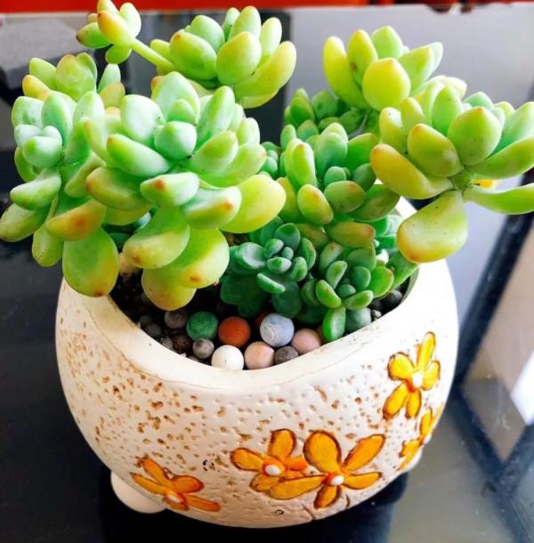 頭暈那些不可不知道的事? 頭暈那些不可不知道的事?