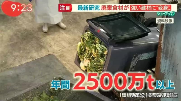 用白菜蓋房子，當作建材是混凝土的４倍，不但環保還可以拿來吃？