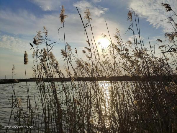 海邊釣魚 海邊釣魚