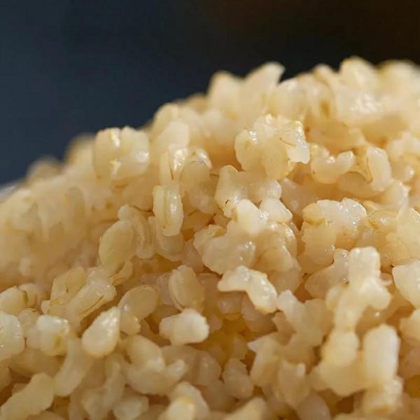 入秋後女人健身減脂,記得吃10種食物,富含膳食纖維,價格也不高 入秋後女人健身減脂,記得吃10種食物,富含膳食纖維,價格也不高