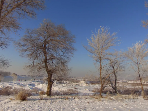 《12月限定丨國內旅行目的地指南》