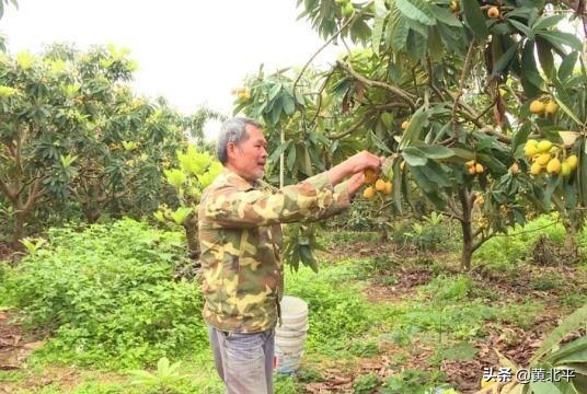 廣西南寧武鳴起鳳山只看風景就錯了，這裡還曾經生活過皇庭公主